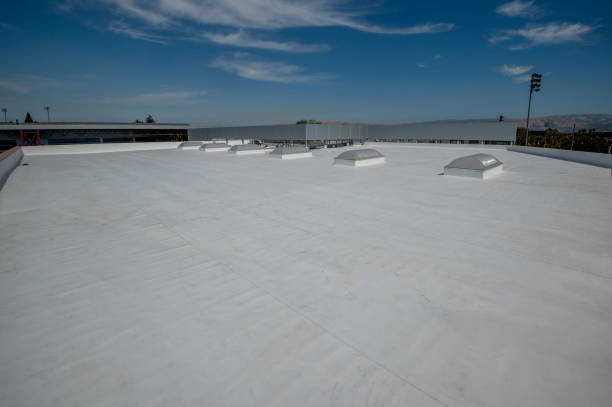 Best Gutter Installation and Repair  in Chlicothe, IL
