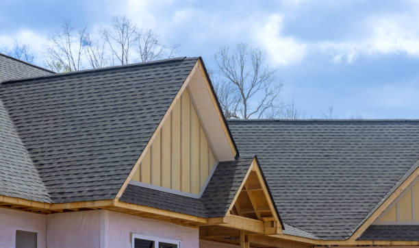 Best Skylight Installation and Repair  in Chlicothe, IL